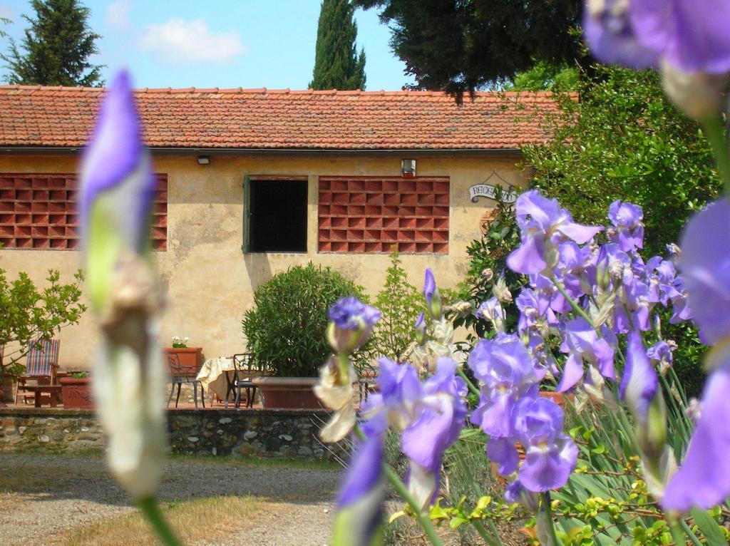 Agriturismo Le Pianore Montespertoli Extérieur photo